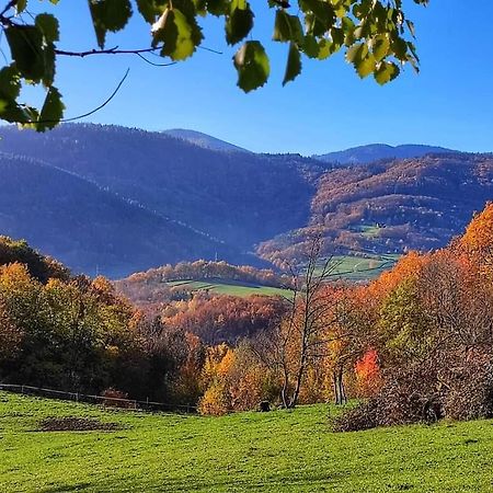 Gite A La Source Breitenbach Dış mekan fotoğraf